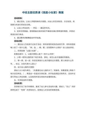 幼儿园中班主题优质课教案《我是小玩家》 包含反思