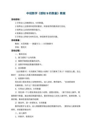 幼儿园中班数学教案《感知9的数量》 包含反思预览