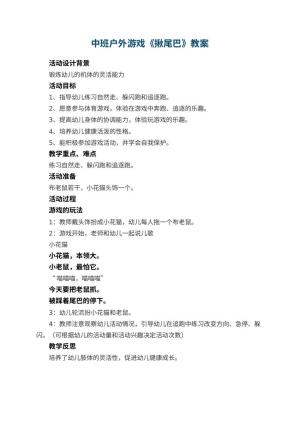 幼儿园中班户外游戏教案《揪尾巴》 包含反思预览