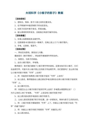幼儿园大班科学优秀教案《小猴子的影子》 包含反思预览