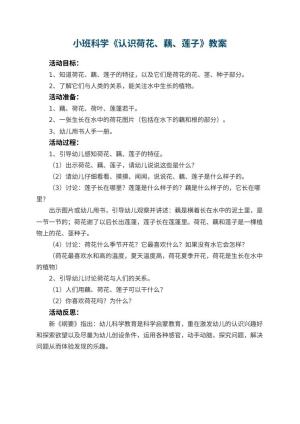 幼儿园小班科学教案《认识荷花、藕、莲子》 包含反思