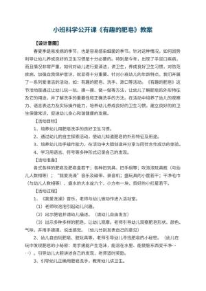 幼儿园小班科学公开课教案《有趣的肥皂》 包含反思预览