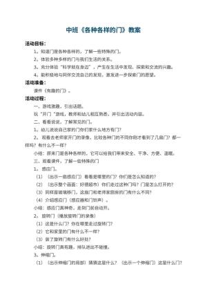 幼儿园中班教案《各种各样的门》 包含反思预览