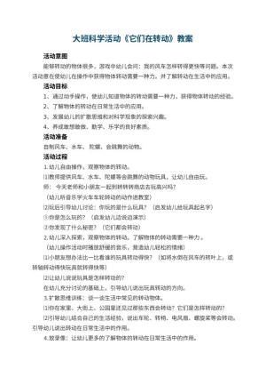 幼儿园大班科学活动教案《它们在转动》 包含反思预览