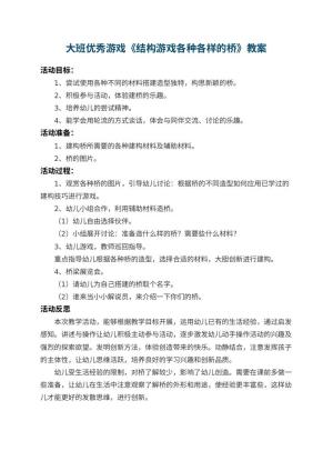 幼儿园大班优秀游戏教案《结构游戏各种各样的桥》 包含反思预览