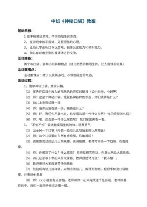幼儿园中班教案《神秘口袋》 包含反思预览