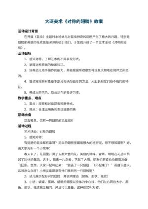 幼儿园大班美术教案《对称的翅膀》 包含反思预览