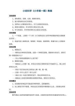 幼儿园小班科学《小手摸一摸》教案 包含反思预览