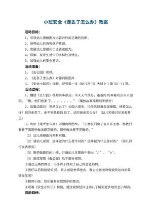 幼儿园小班安全教案《走丢了怎么办》 包含反思预览
