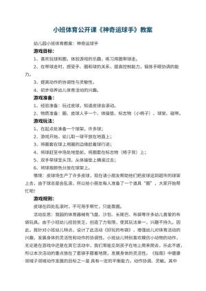 幼儿园小班体育公开课教案《神奇运球手》 包含反思预览