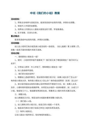 幼儿园中班教案《我们的小组》 包含反思预览