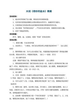 幼儿园大班教案《奇妙的盐水》 包含反思预览