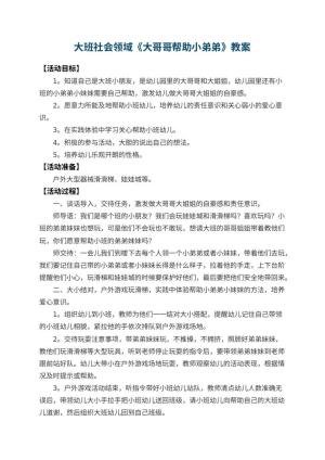 幼儿园大班社会领域教案《大哥哥帮助小弟弟》 包含反思预览