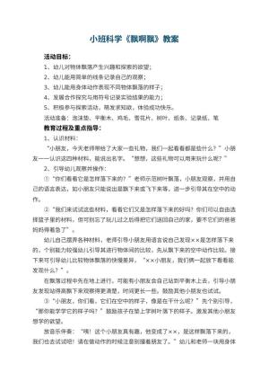 幼儿园小班科学《飘啊飘》教案预览