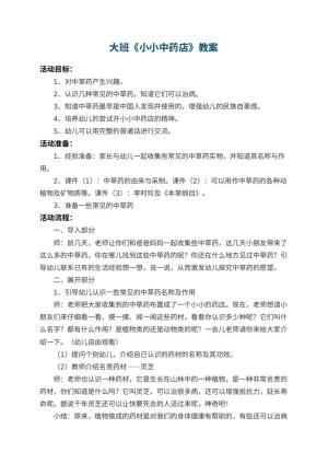 幼儿园大班教案《小小中药店》 包含反思预览