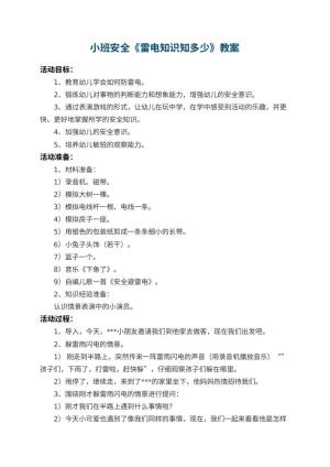 幼儿园小班安全教案《雷电知识知多少》 包含反思预览