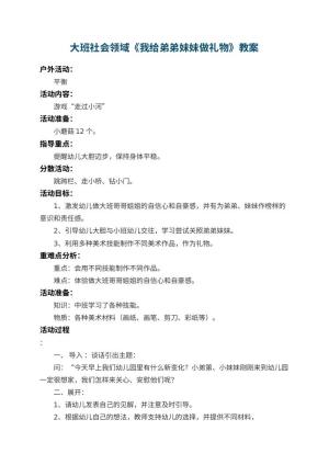 幼儿园大班社会领域教案《我给弟弟妹妹做礼物》 包含反思
