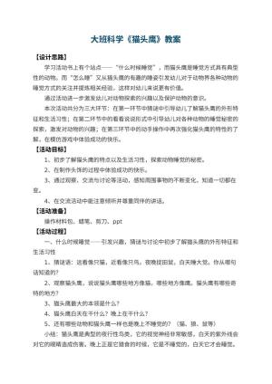 幼儿园大班科学教案《猫头鹰》 包含反思预览