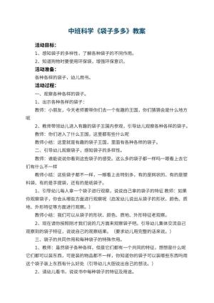 幼儿园中班科学优秀教案《袋子多多》 包含反思预览