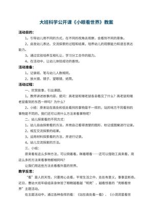 幼儿园大班科学公开课教案《小眼看世界》 包含反思预览