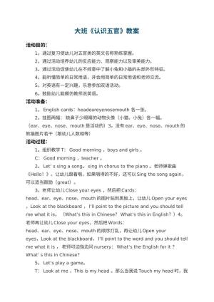 幼儿园大班教案《认识五官》预览
