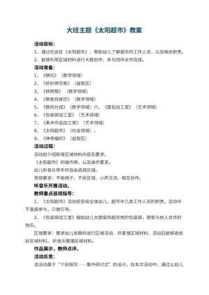 幼儿园大班主题优秀教案《太阳超市》 包含反思预览