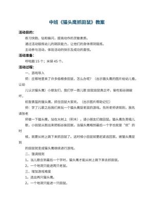 幼儿园中班教案《猫头鹰抓田鼠》