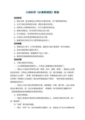 幼儿园小班科学教案《水果照相馆》 包含反思预览