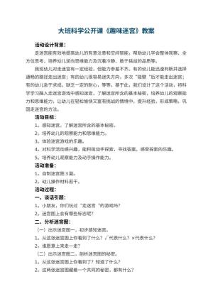 幼儿园大班科学公开课教案《趣味迷宫》 包含反思