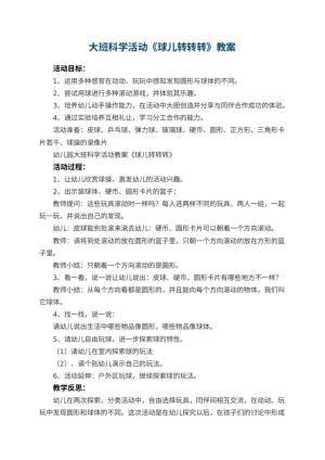 幼儿园大班科学活动教案《球儿转转转》 包含反思预览