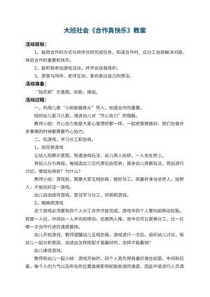 幼儿园大班社会教案《合作真快乐》 包含反思预览