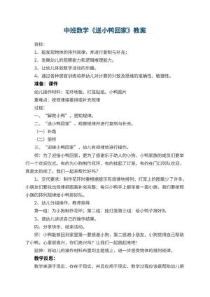 幼儿园中班数学教案《送小鸭回家》 包含反思预览