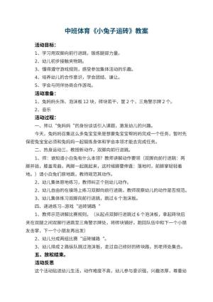 幼儿园中班体育优秀教案《小兔子运砖》 包含反思预览