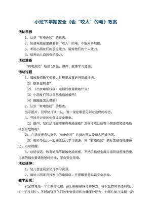 幼儿园小班下学期安全教案《会“咬人”的电》 包含反思预览