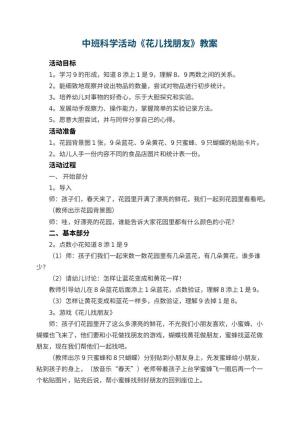 幼儿园中班科学活动教案《花儿找朋友》 包含反思预览