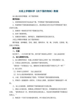 幼儿园大班上学期科学教案《向下落的物体》 包含反思预览