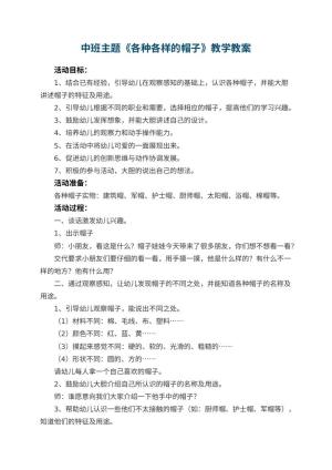 幼儿园中班主题《各种各样的帽子》教学 包含反思