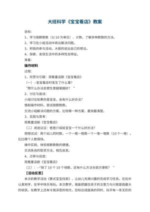 幼儿园大班科学优秀教案《宝宝看店》 包含反思预览