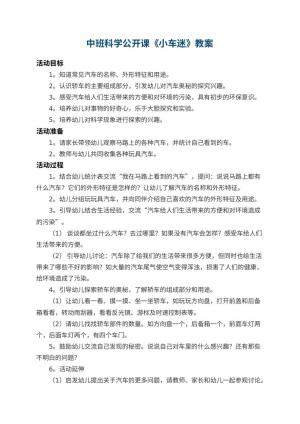 幼儿园中班科学公开课教案《小车迷》 包含反思预览
