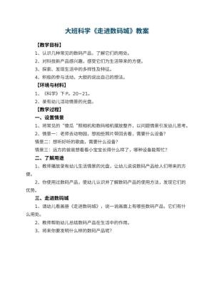 幼儿园大班科学教案《走进数码城》预览