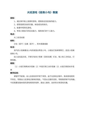 幼儿园大班游戏教案《拯救小鸟》 包含反思预览