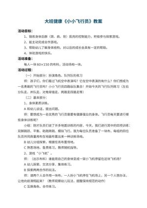 幼儿园大班健康教案《小小飞行员》 包含反思预览