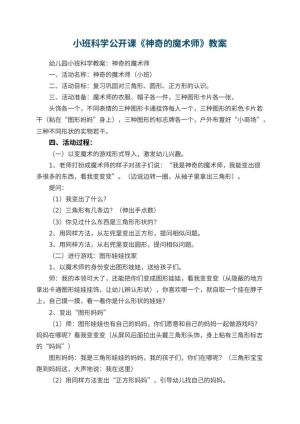 幼儿园小班科学公开课教案《神奇的魔术师》 包含反思预览