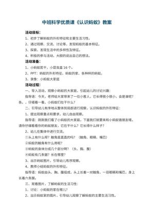 幼儿园中班科学优质课教案《认识蚂蚁》 包含反思预览