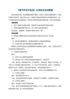幼儿园教案《煤气开关不乱动》大班安全活动预览