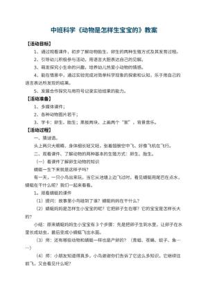 幼儿园中班科学教案《动物是怎样生宝宝的》 包含反思预览