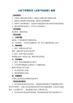 幼儿园小班下学期科学教案《水蒸气的秘密》 包含反思预览