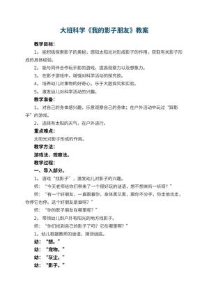 幼儿园大班科学教案《我的影子朋友》 包含反思预览