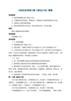 幼儿园大班社会领域儿歌教案《留住小鸟》 包含反思预览