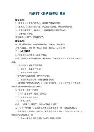 幼儿园中班科学优秀教案《镜子真好玩》 包含反思预览